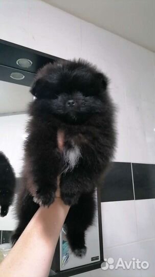 Девочка 2 месяца