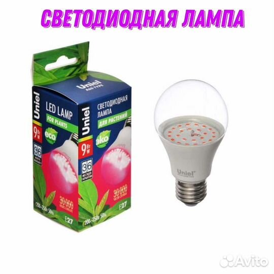 Лампа светодиодная