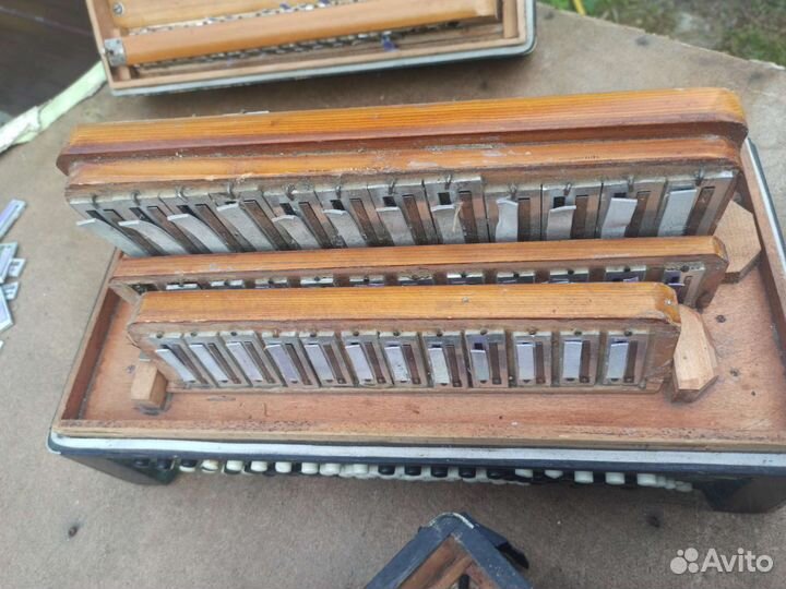 Баян любительский