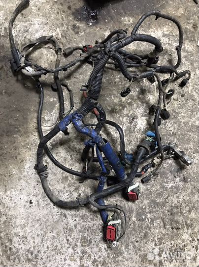 Проводка двигателя Ford Focus 2