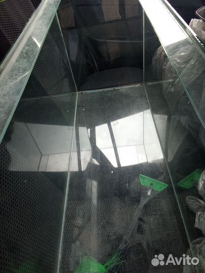 Аквариумные рыбки