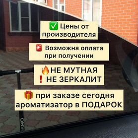 Съемная жесткая тонировка на статике