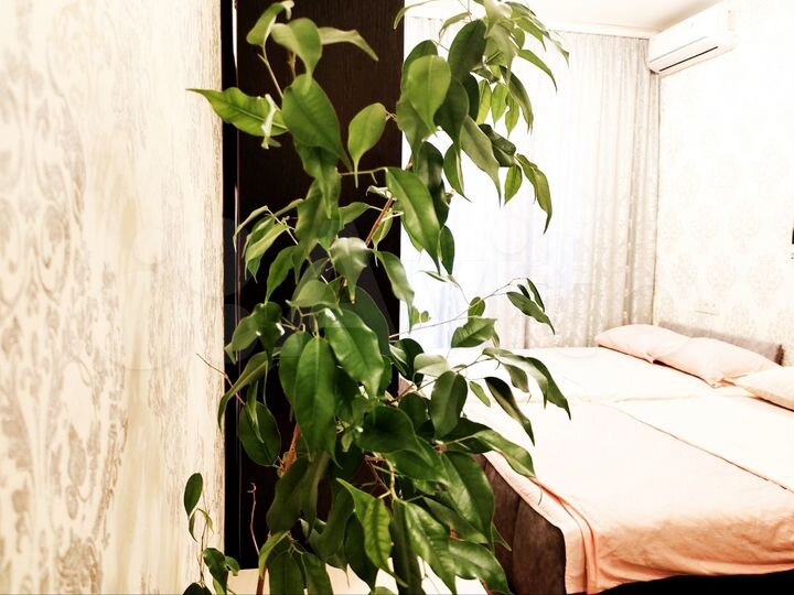 Квартира-студия, 27 м², 10/15 эт.