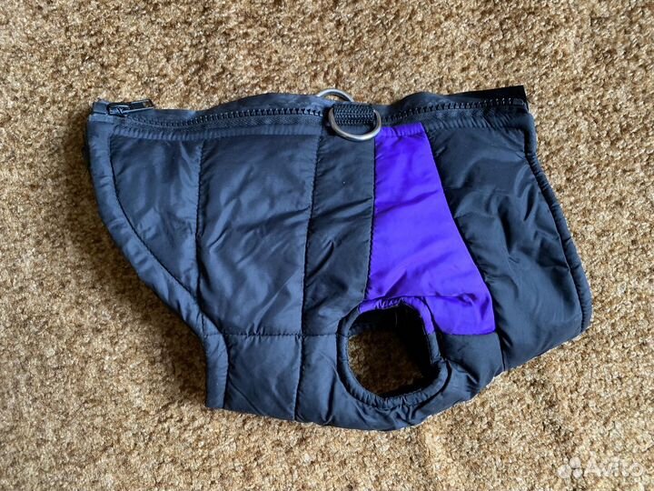 Одежда для собак