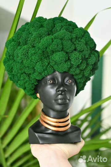 Стабилизированный мох панно