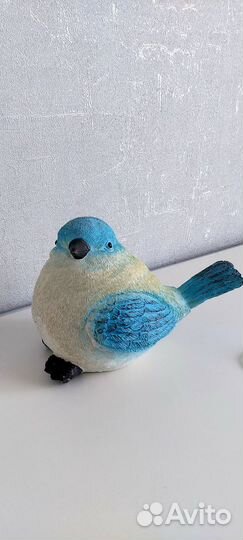 Декоративная птица