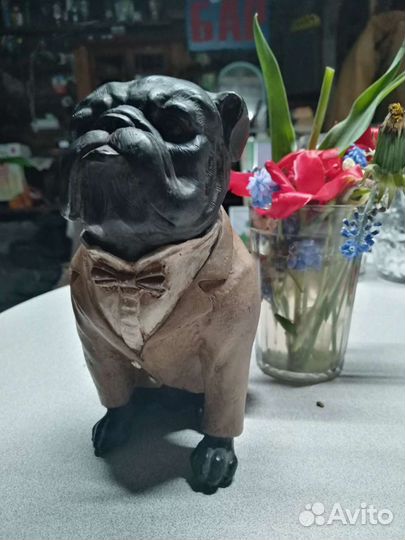 Собака мопс