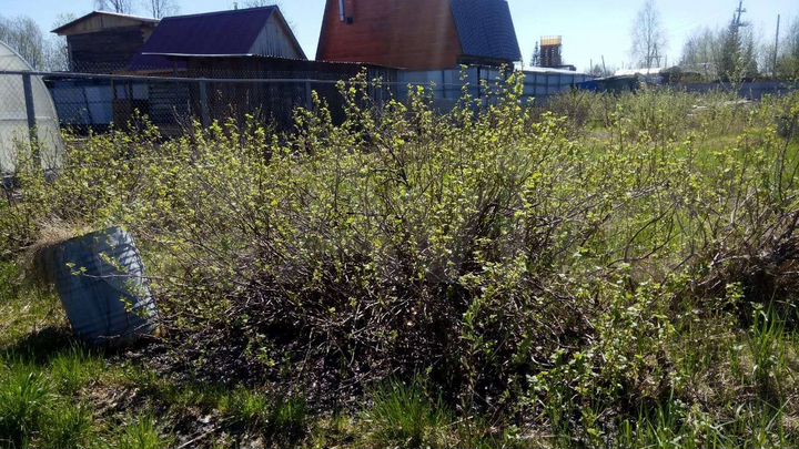 Дача 20 м² на участке 12 сот.