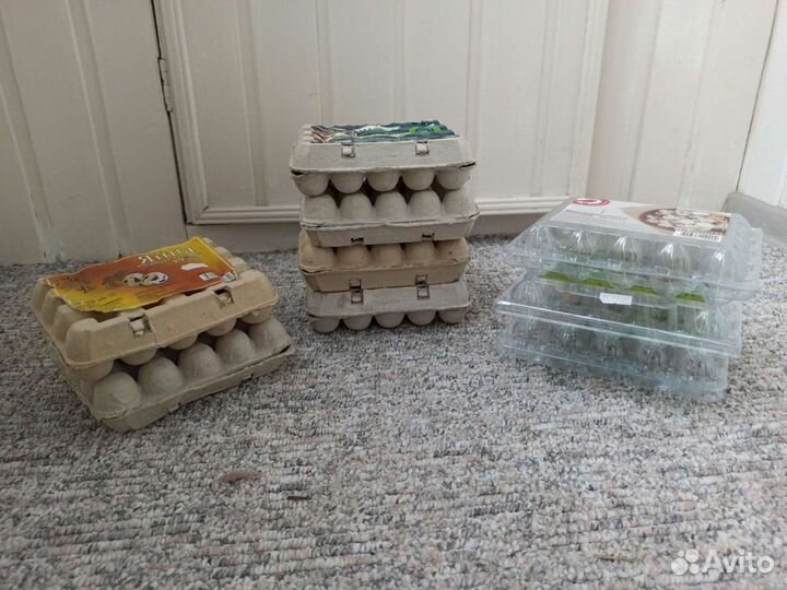 Картонные/пластиковые яичные лотки