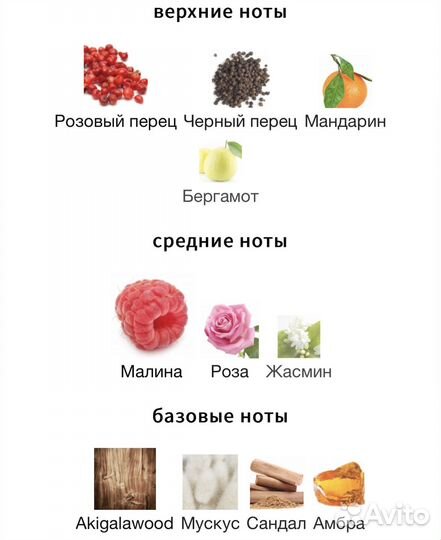 Orlov Paris de Young Red аромат в распив