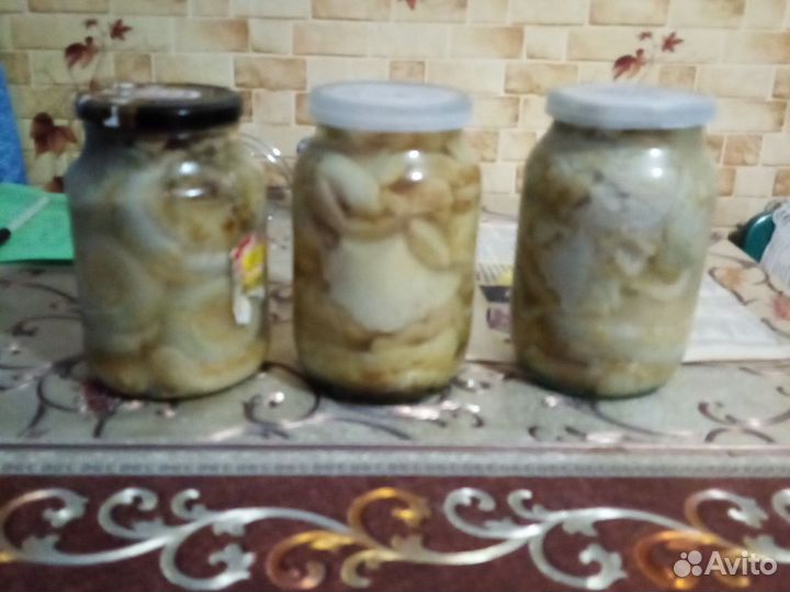 Грибы груди сырые