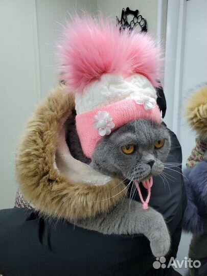 Зоосалон, грумер, стрижка кошек и собак, груминг