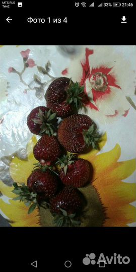 Чёрный принц