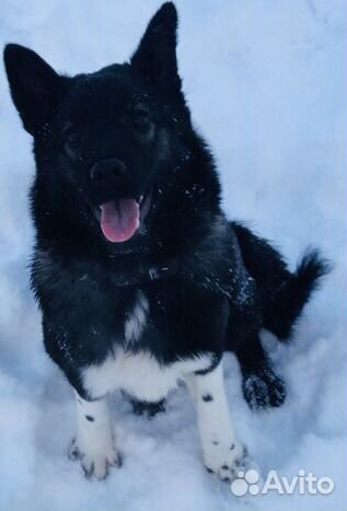 Малыш в дар