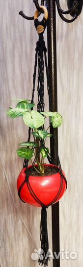 Кашпо для цветов