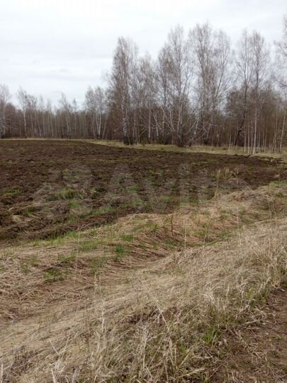 Участок 3,2 га (СНТ, ДНП)