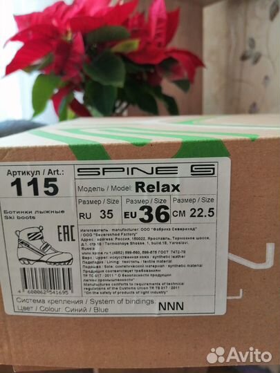 Лыжные ботинки классические spine