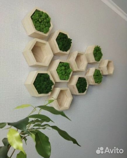 Полки соты с мхом. Озеленение интерьера