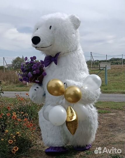 Белый мишка степаныч поздравление, аниматор