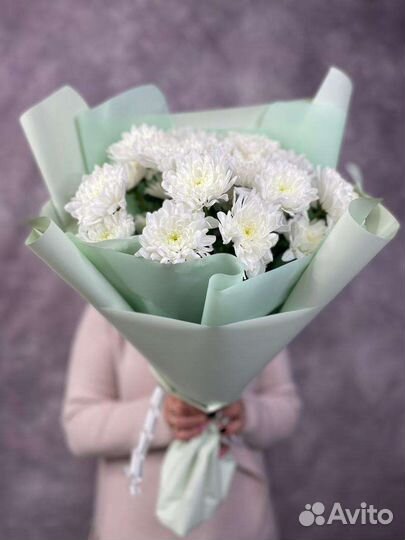 Букеты Цветы Хризантемы с доставкой