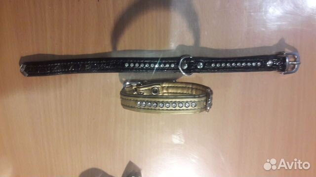 Ошейник для собак мелких пород