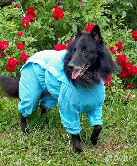 Комбинезоны-пыльник с ловушками от клещей д/собак