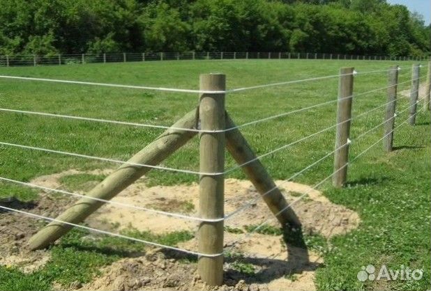 Электропастух европа