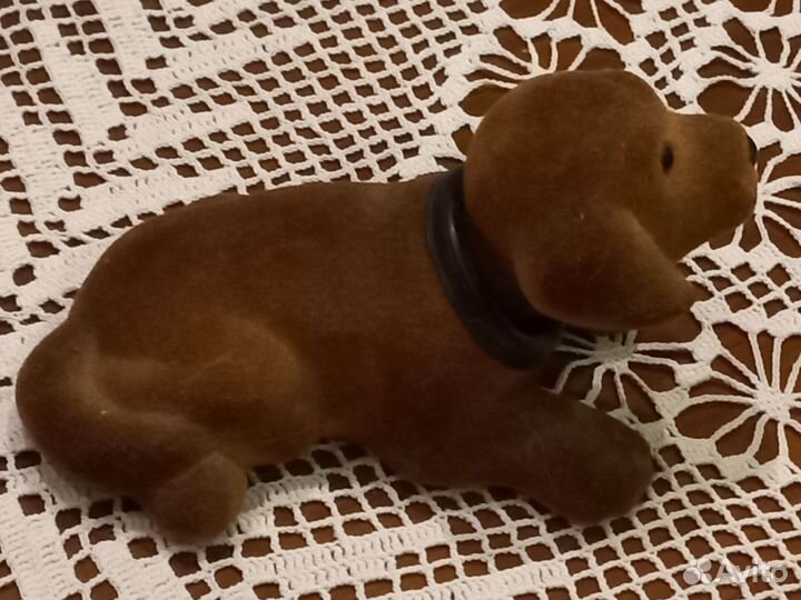 Собака флок качается голова