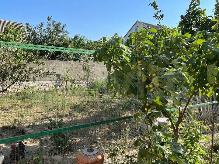 Участок 4 сот. (ИЖС)