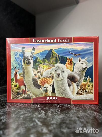 Пазл 1000 деталей Castorland