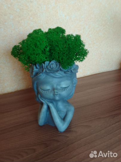 Гипсовое кашпо со стабилизированным мхом