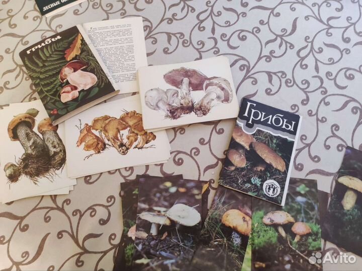 Открытки СССР