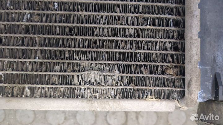 Радиатор охлаждения двигателя Dacia Logan, 2008