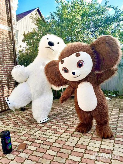 Поздравление ростовой куклы чебурашка белый мишка