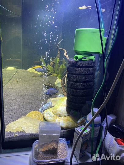 Аквариум панорамный