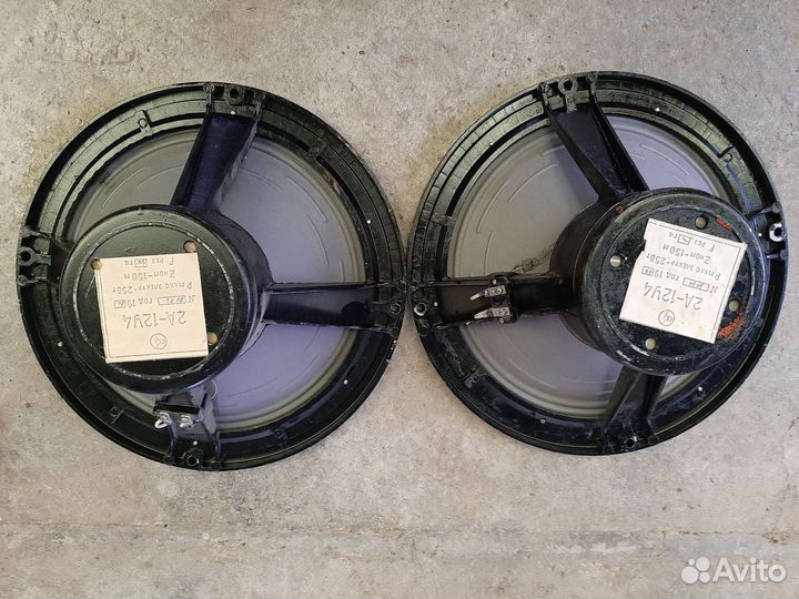 Динамики 2А-12У4