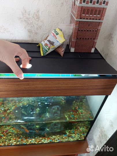 Аквариум 60л