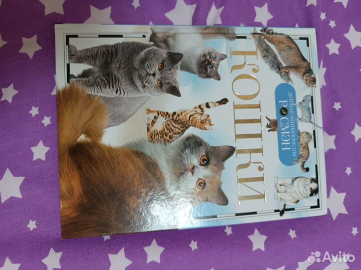 Книга про кошек
