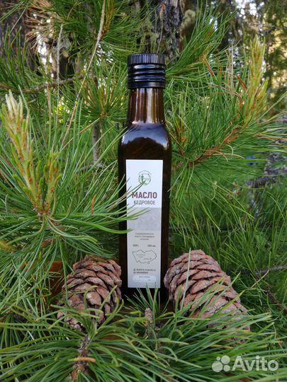 Кедровое Сыродавленное масло холодного отжима