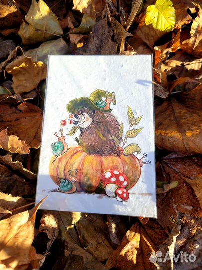 Живая открытка / открытка с семенами