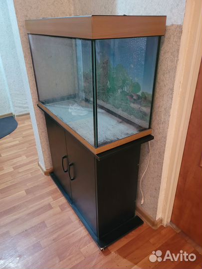 Аквариум 200 литров с тумбой и аксессуарами