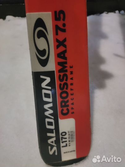 Горные лыжи