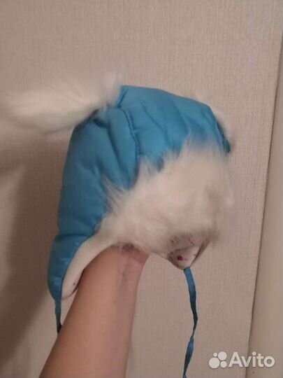 Шапка для мальчика новая