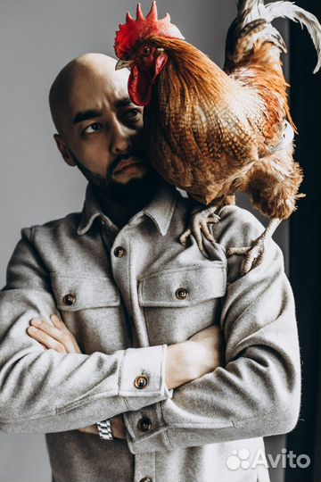 Ведущий мероприятия + DJ