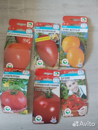 Рассада помидор и перцев