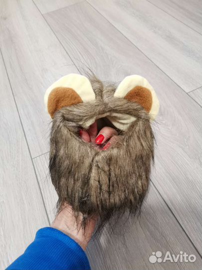 Одежда для животных