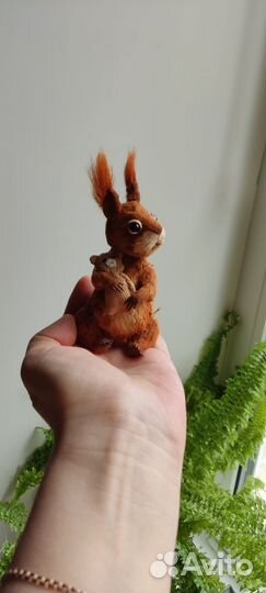 Белка бельчонок малыш тедди