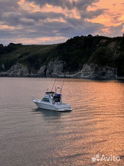 Катер SEA RAY 290SFB