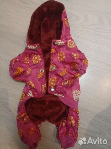 Комбинезон для маленькой собаки зима