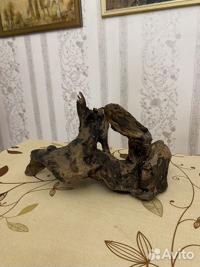 Коряга дла аквариума/террариума